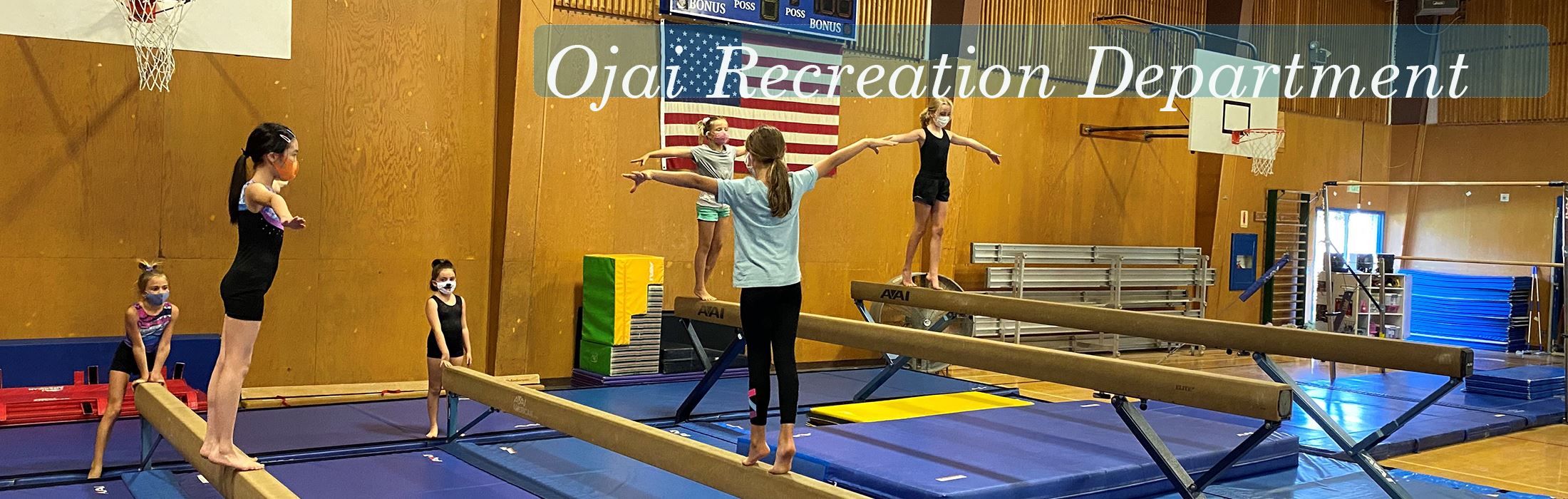 Gymnastics Banner Rec