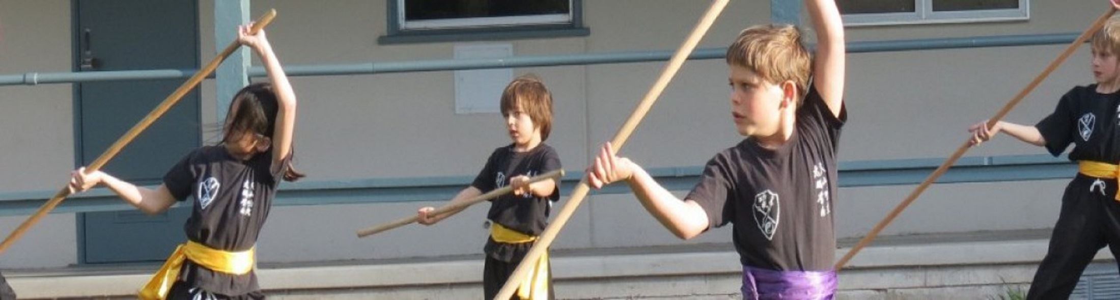 Matial Arts Banner 2