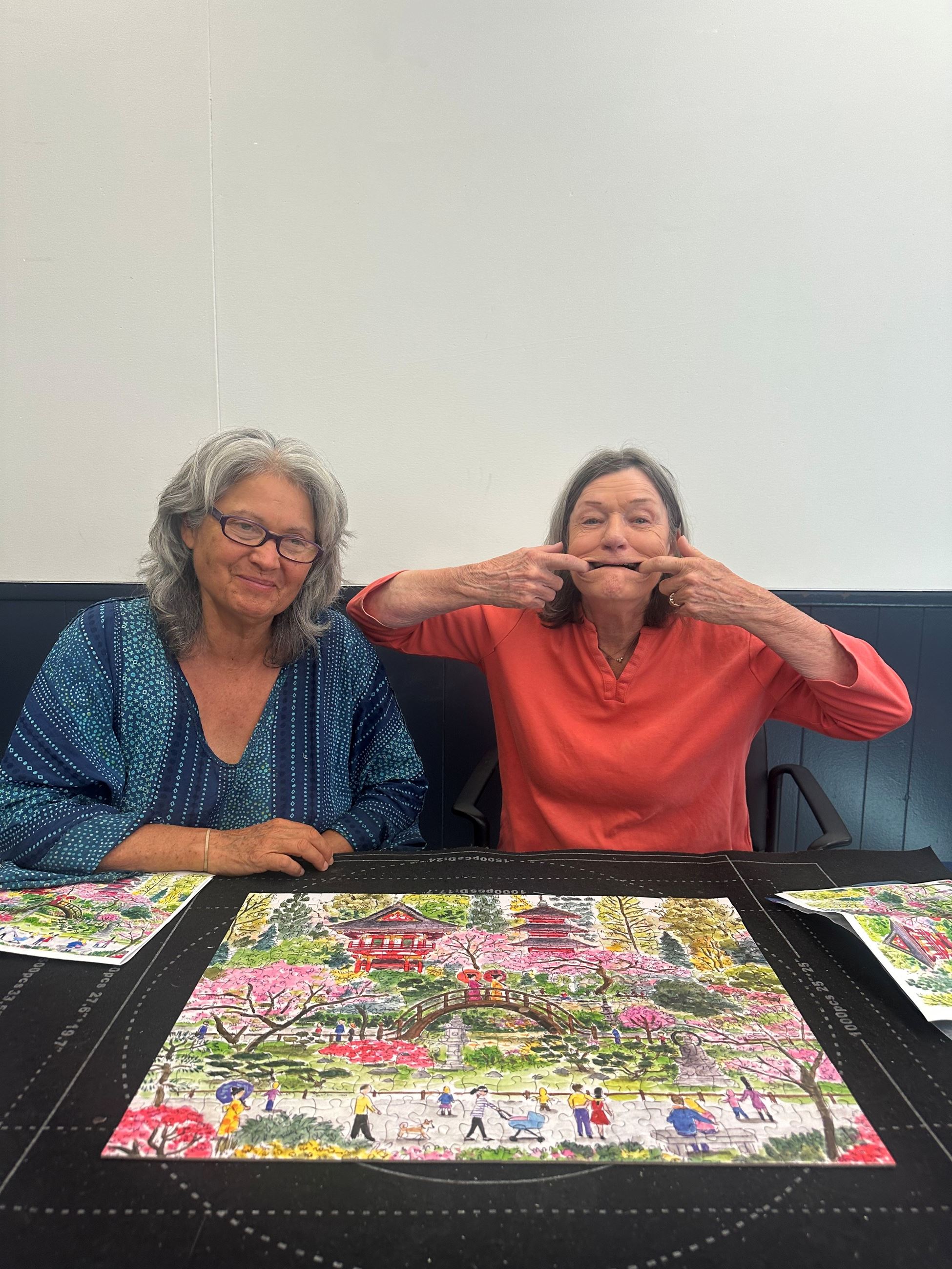 Anita and Julie Puzzle