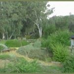 Community Demonstration Garden