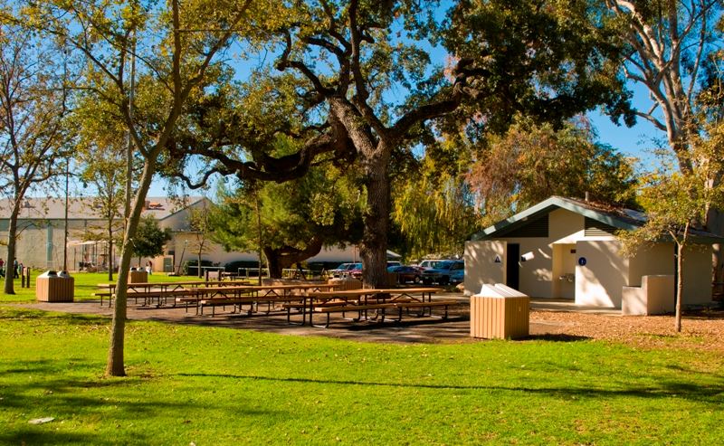 Park Tables and Benches