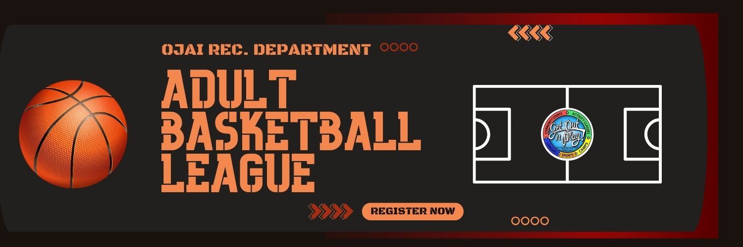 Website Banner - Adult Basketball